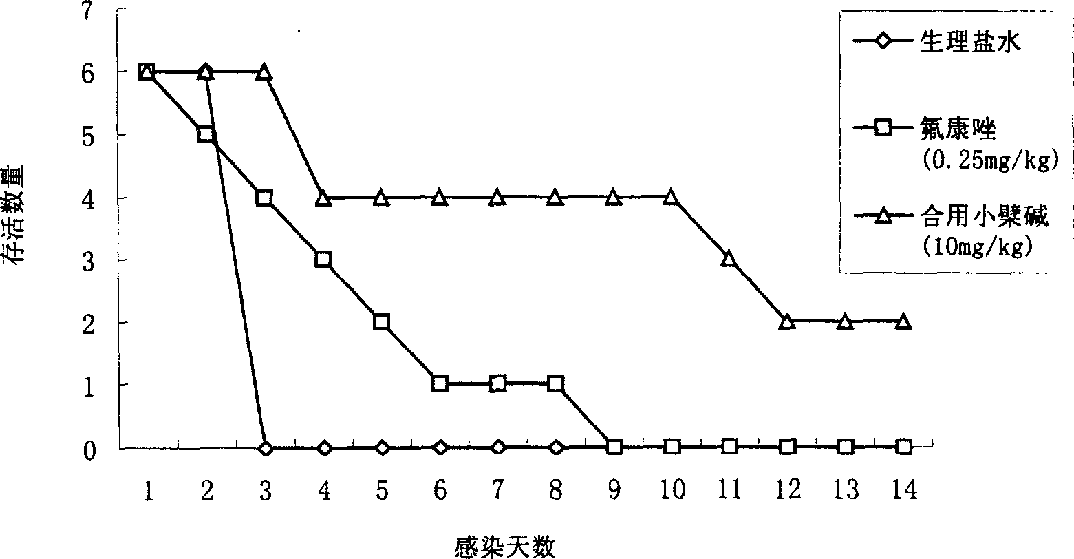 Use of berberine as anti fungus medicine synergist