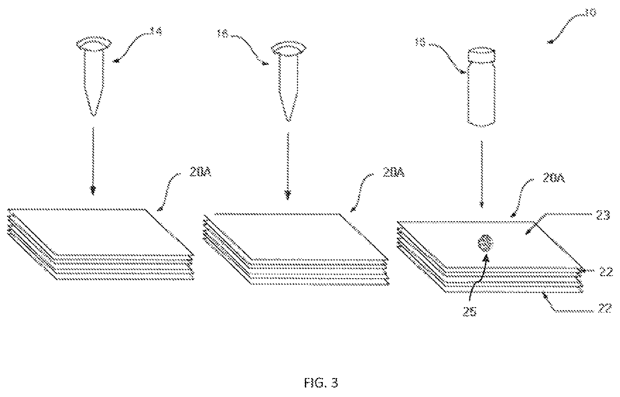 Assay and kit for detection of endotoxin