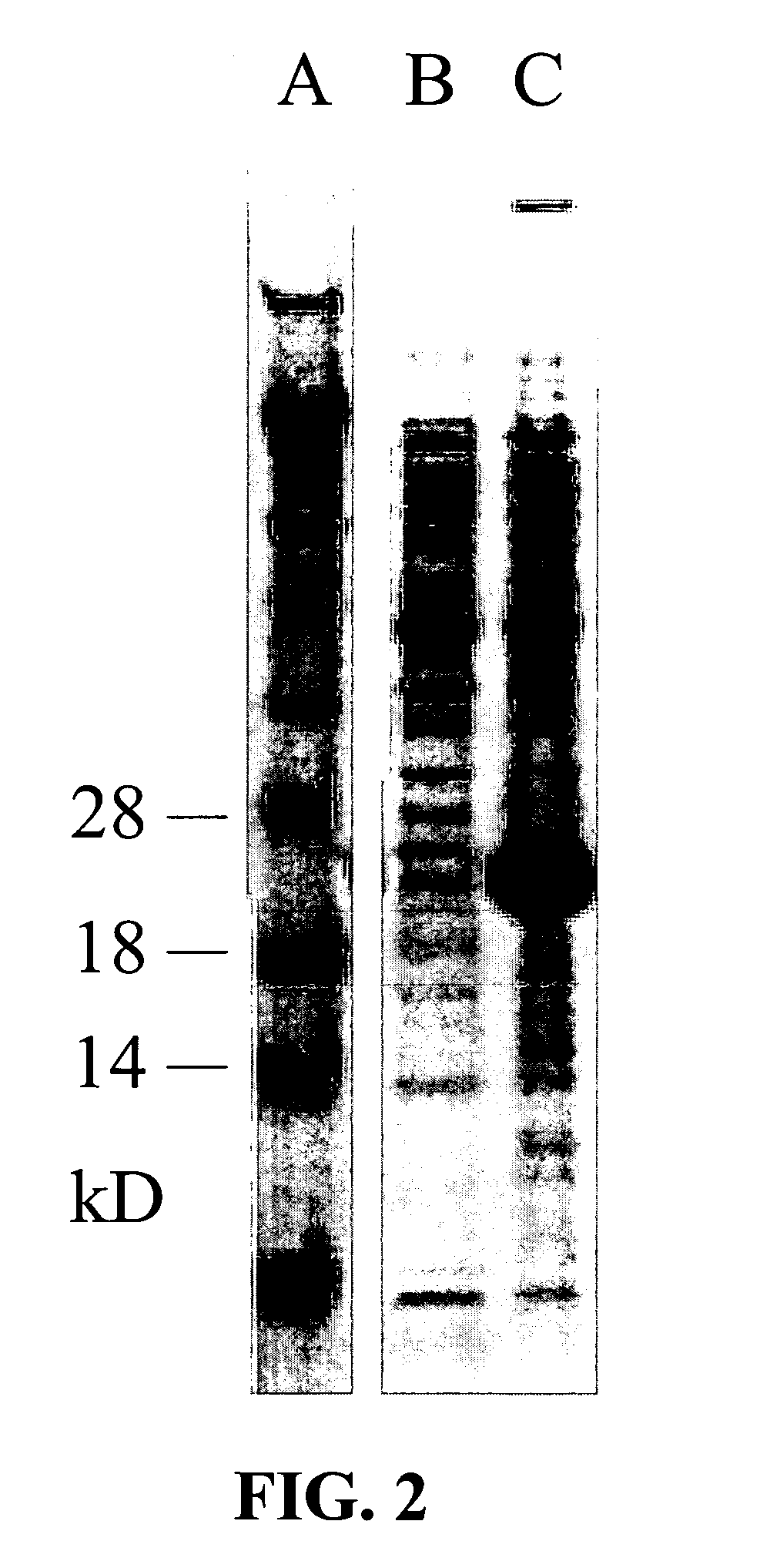 Protein from horn fly saliva that disrupts hemostasis