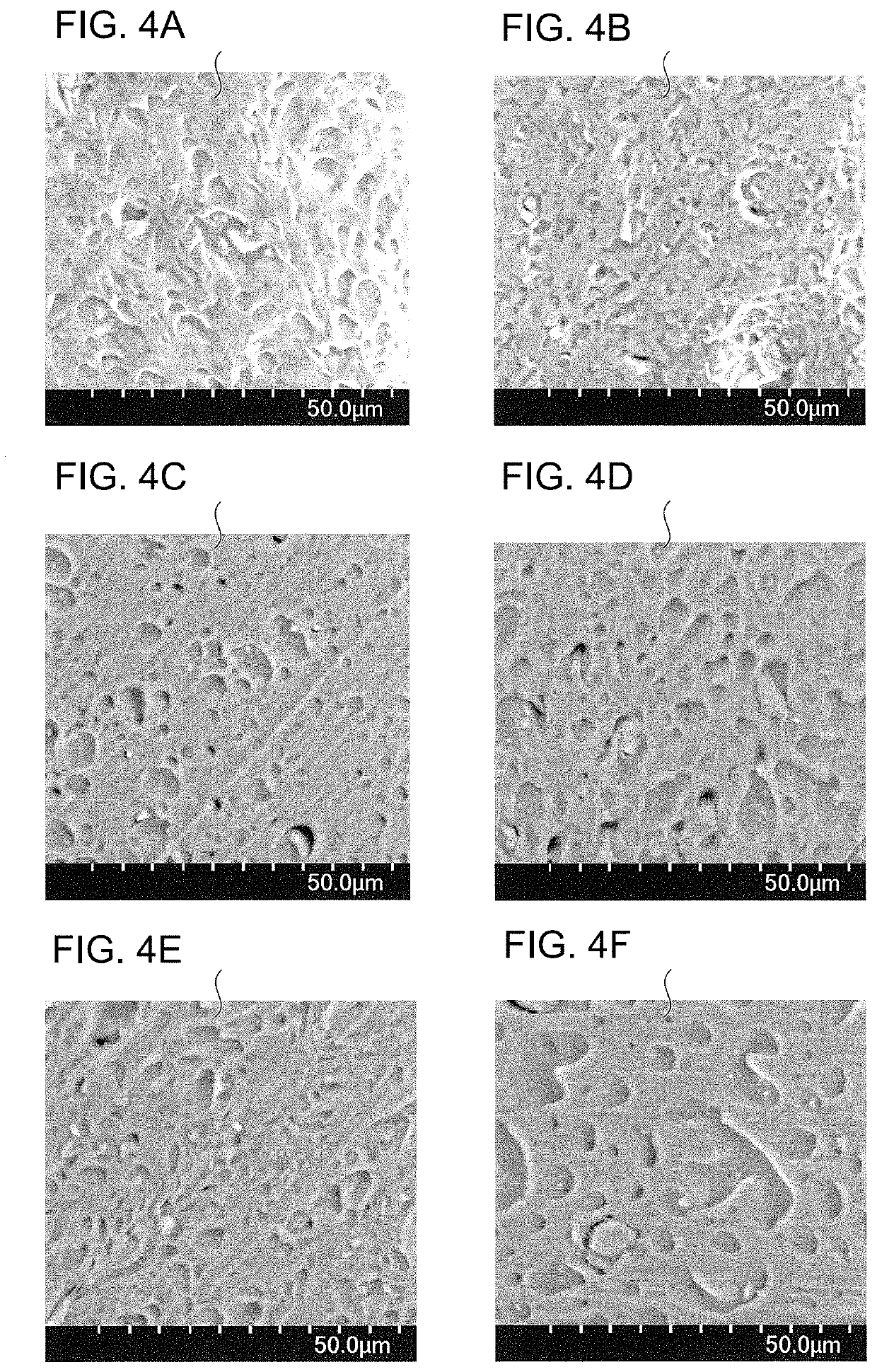 Thermoplastic Fluororesin Composition, Electric Wire and Cable