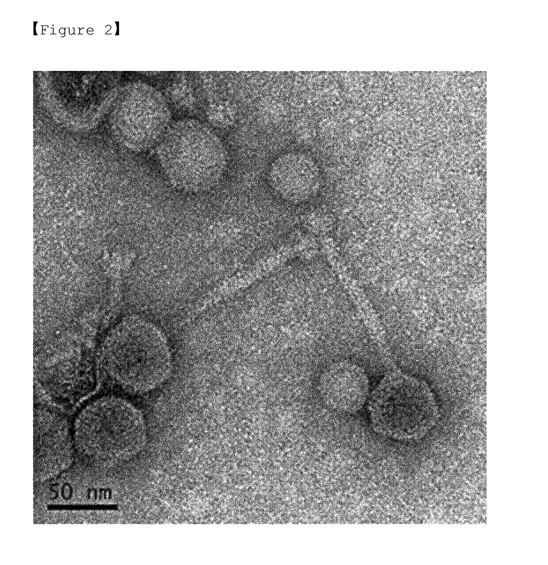 Novel bacteriophage and antibacterial composition comprising the same