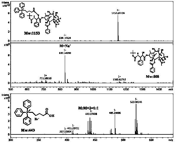 Docetaxel derivative and its preparation method and application