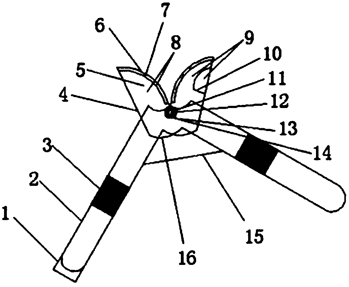 Secure pruning shears for apple trees