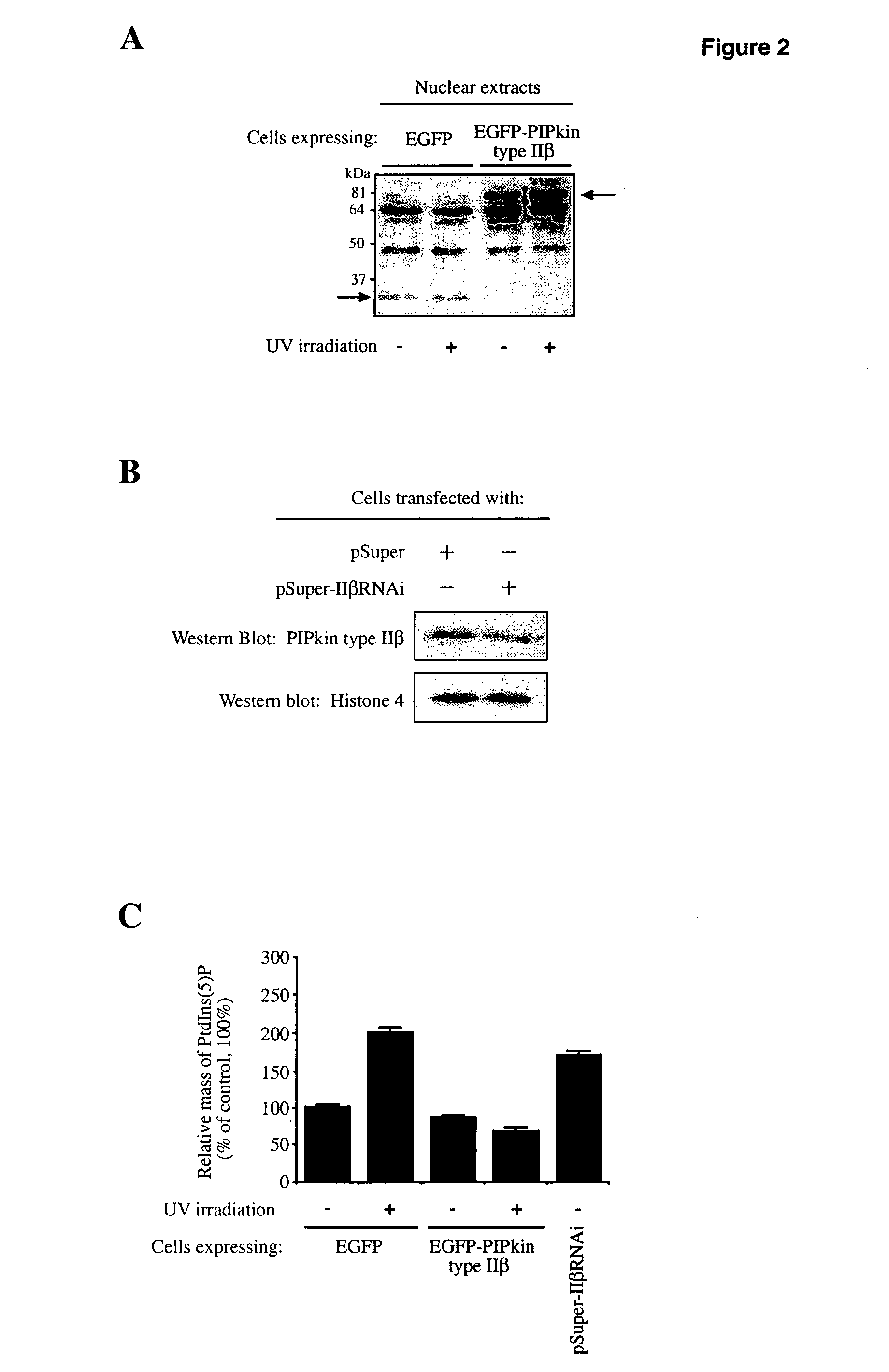 Methods of treatment