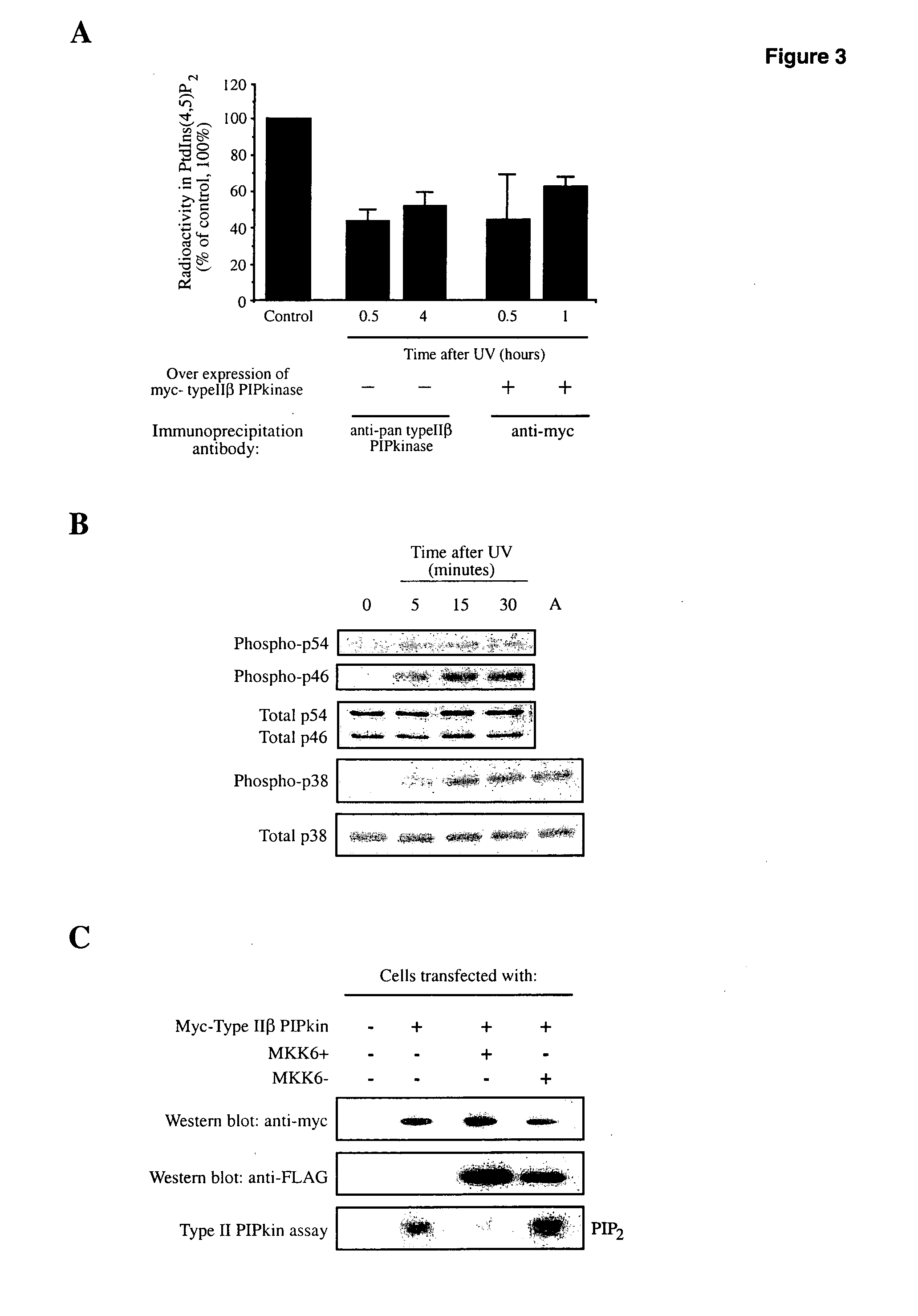 Methods of treatment