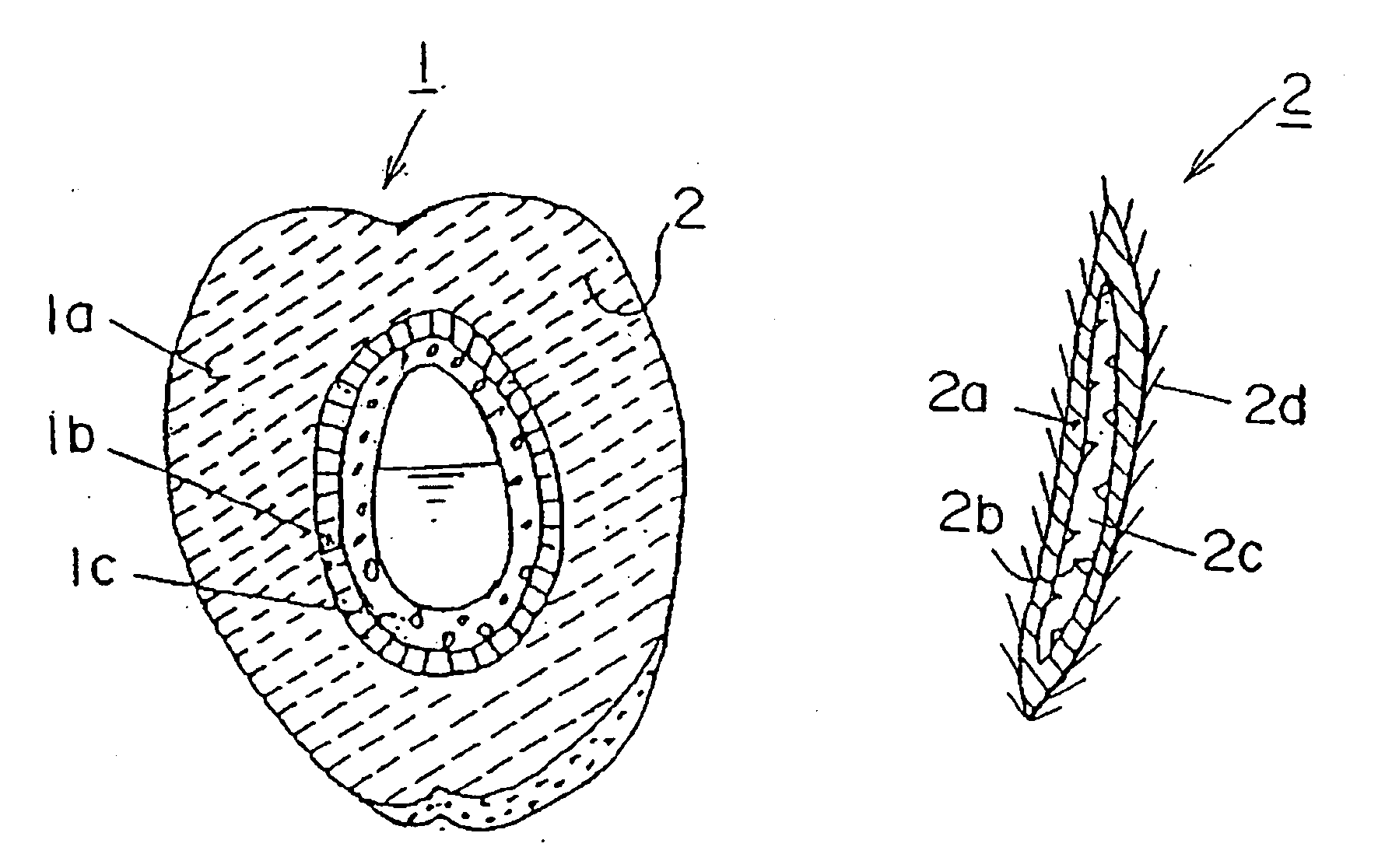 Plastic Molding Capable of Carbon Dioxide Reduction