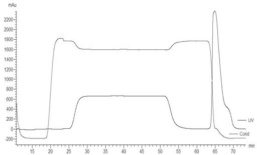 Application of B cell epitope peptide of human PCT (Procalcitonin) and monoclonal antibody of B cell epitope peptide