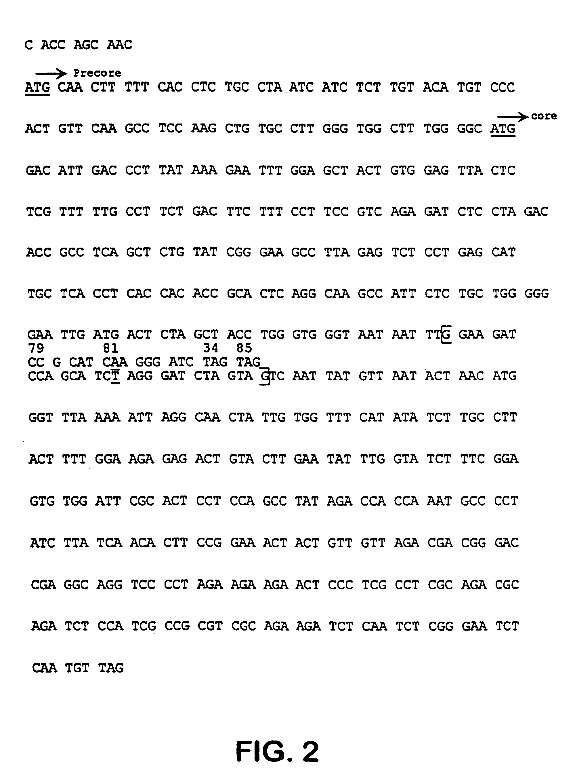 Compositions and methods for treating intracellular diseases