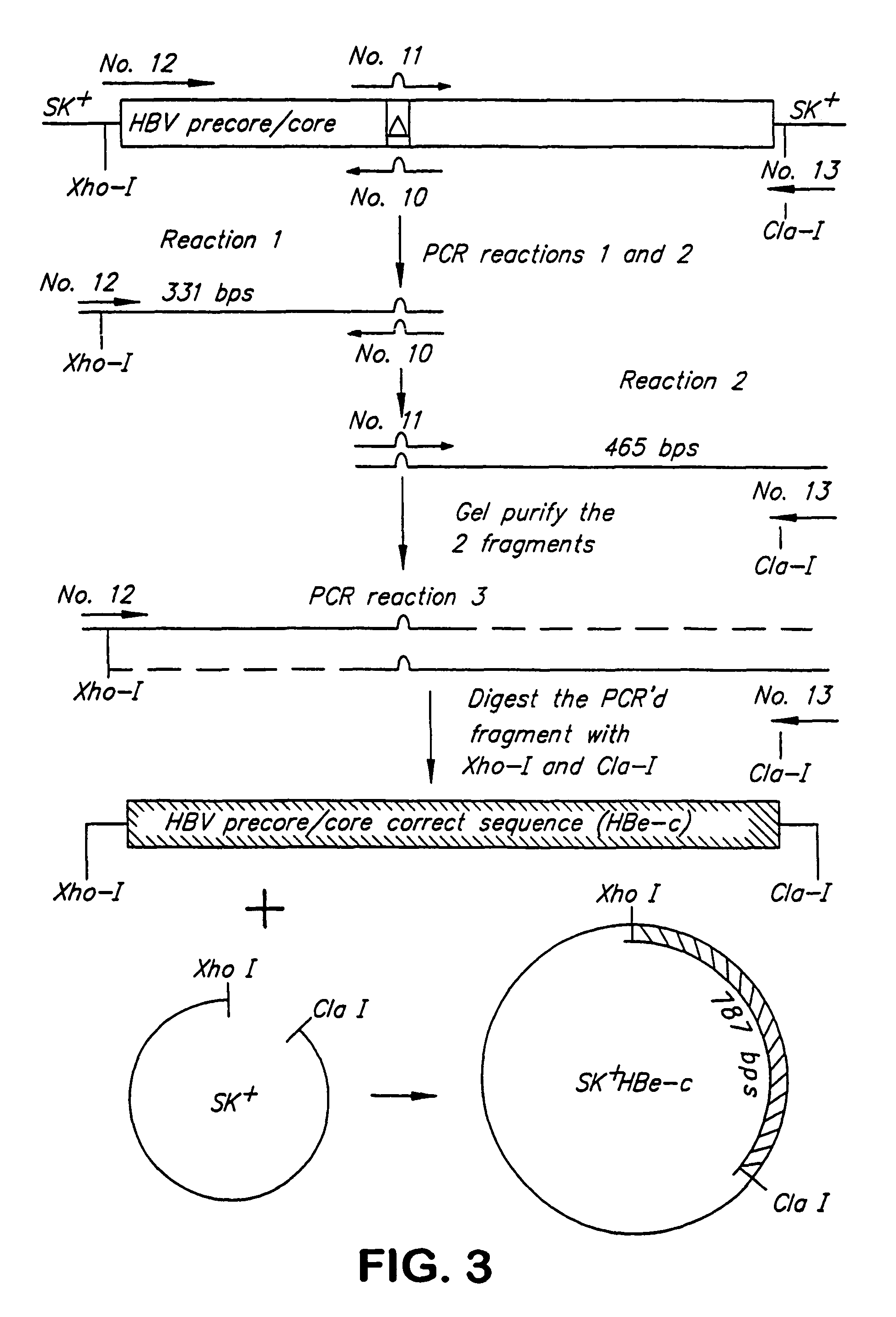 Compositions and methods for treating intracellular diseases