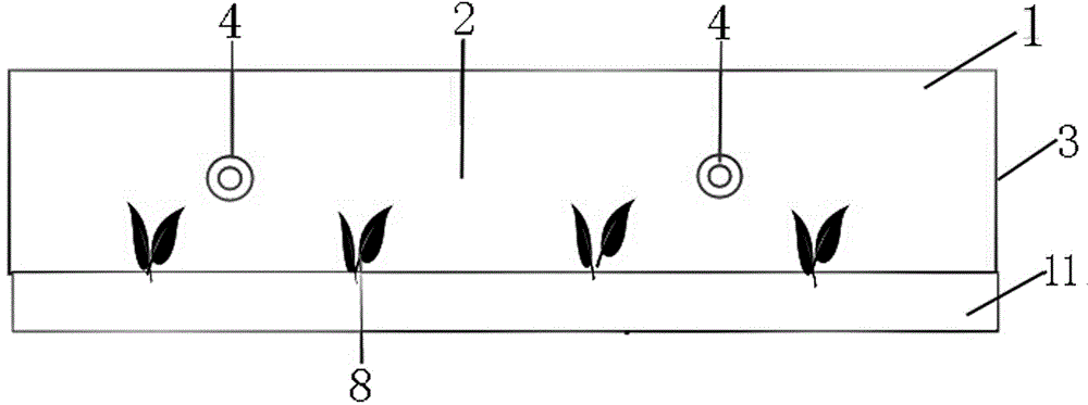 Original ecological quasipaa spinosa culture pond