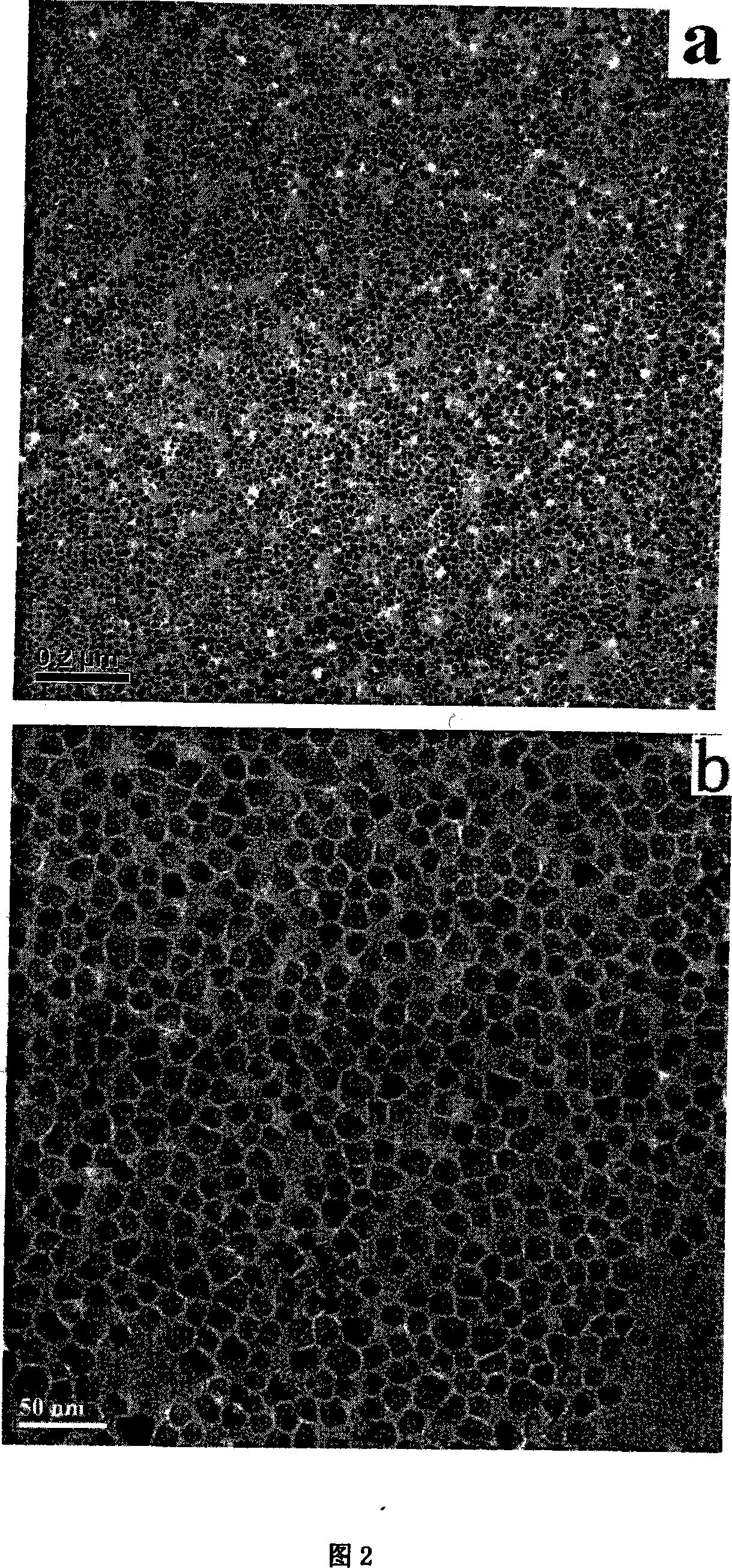 Method for preparing monodisperse ternary sulfide CuInS2