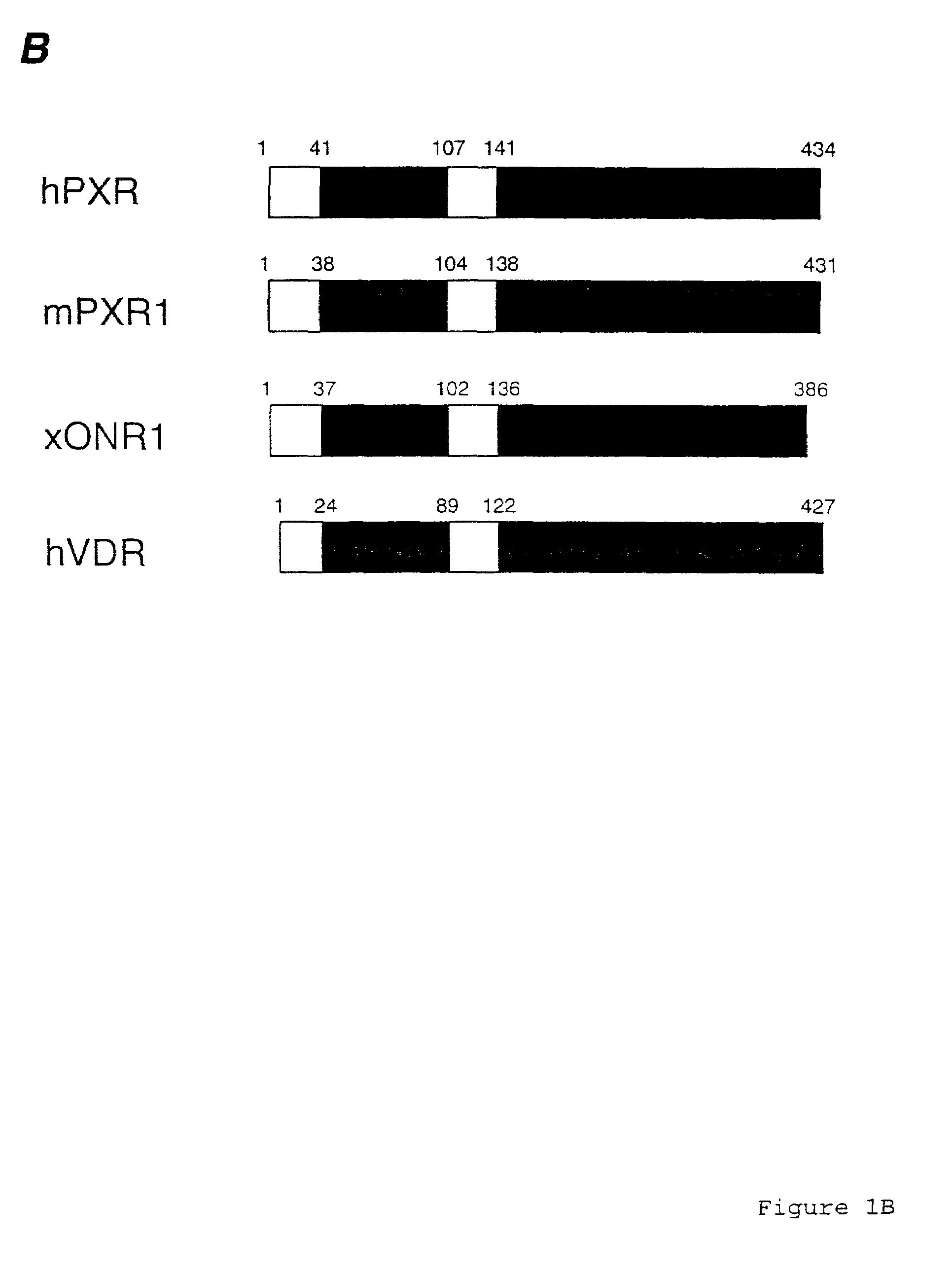 Pregnane X receptor method