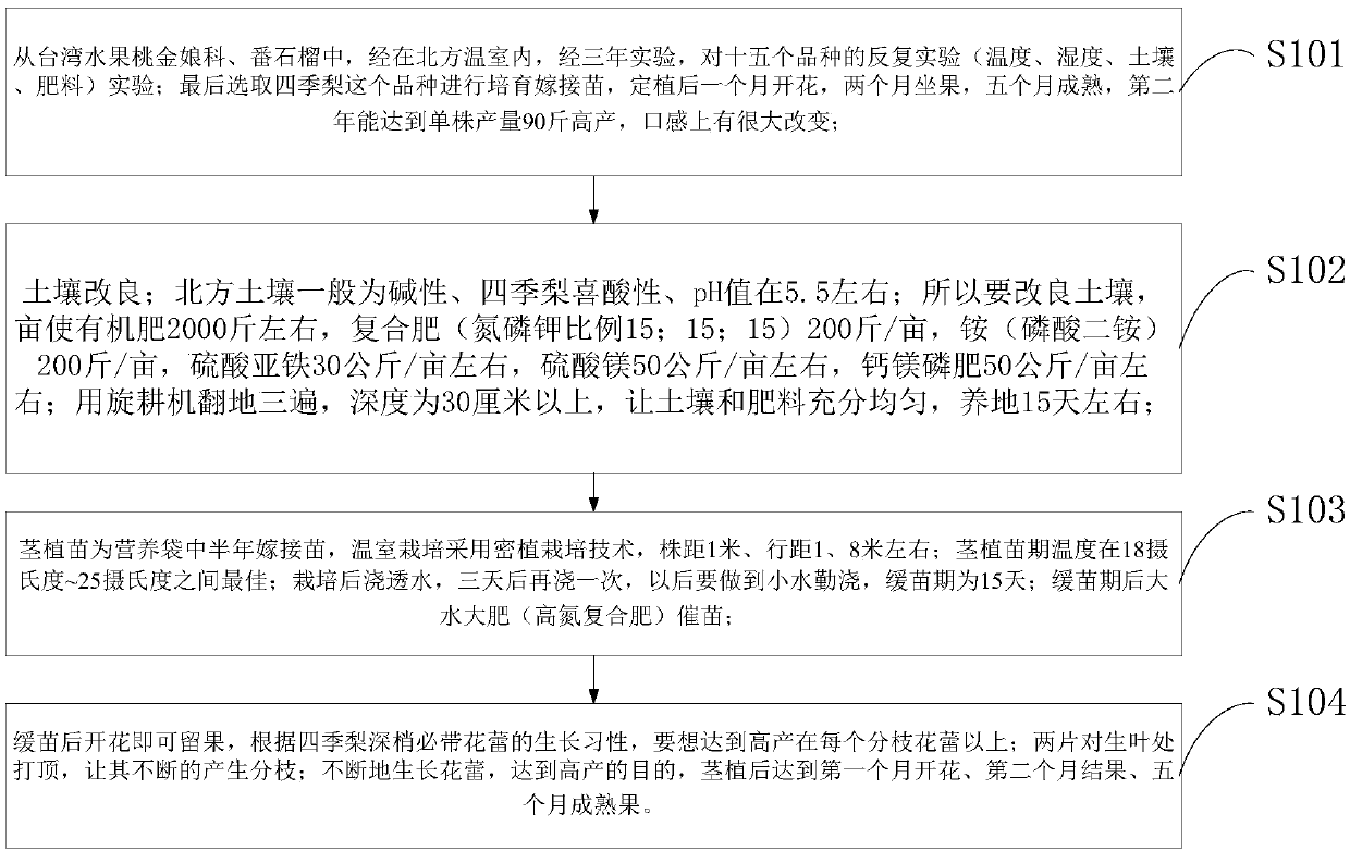 Greenhouse cultivation method of apple pears, apple pears and tea for reducing three highs