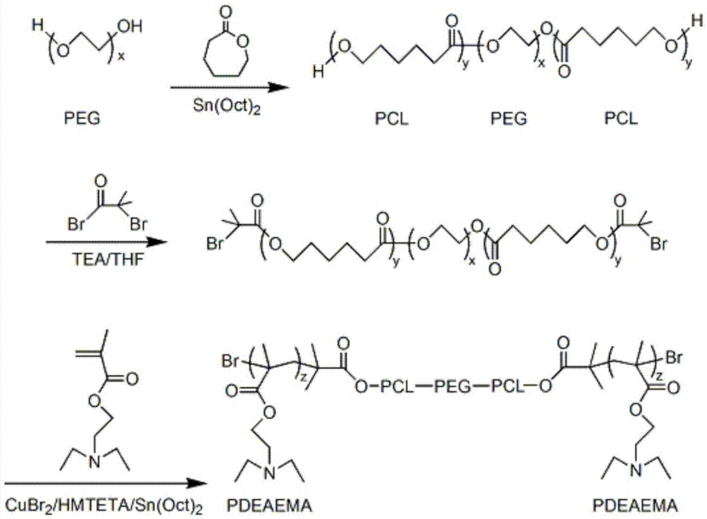 pH/temperature sensitive amphiphilic polymer, and preparation method and applications thereof