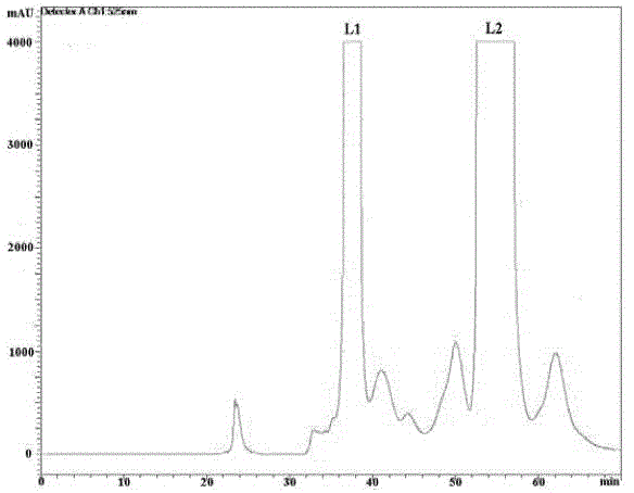 A method for isolating and preparing anthocyanin monomer from Lycium barbarum fruit