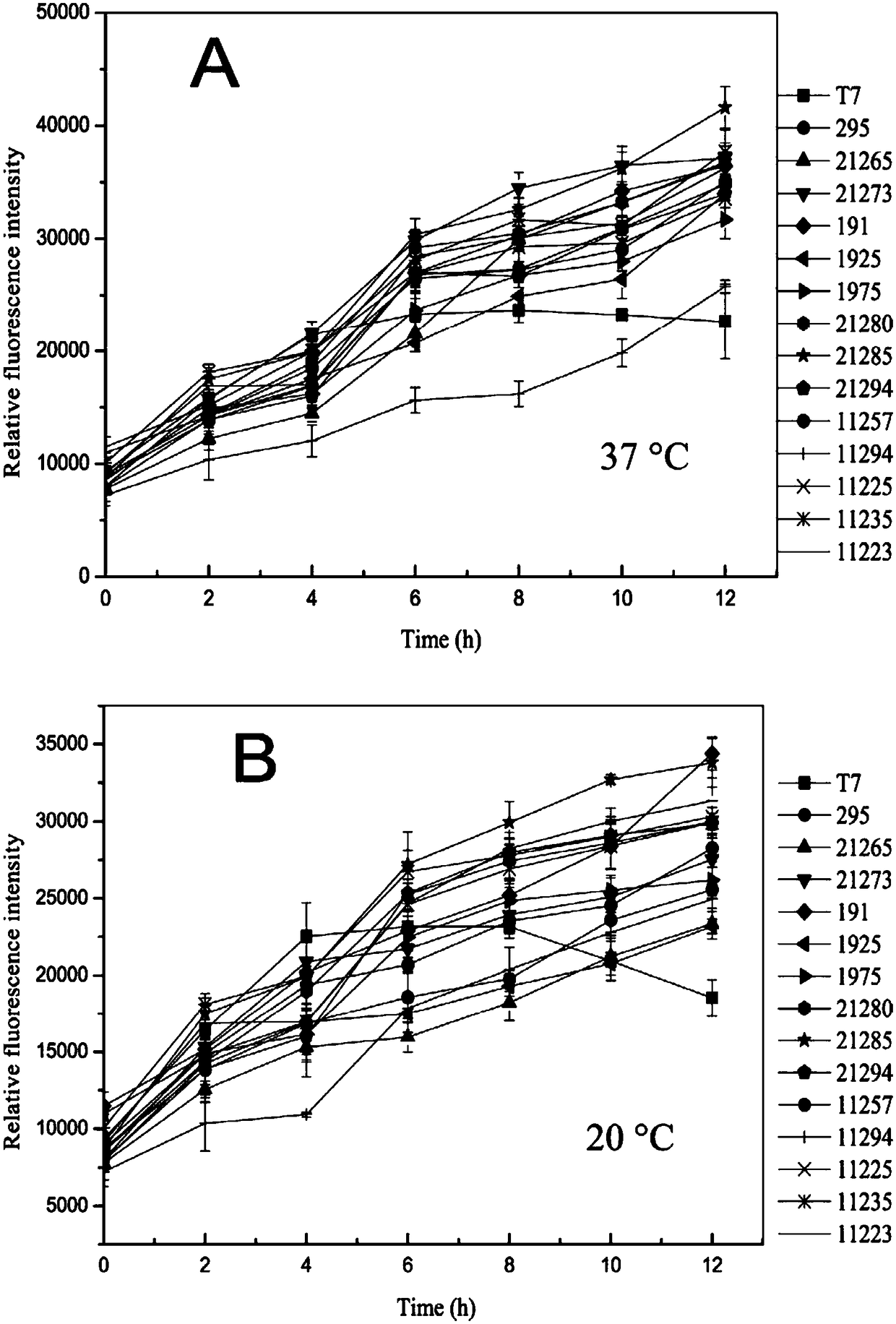 Escherichia coli pressure response type promoter and preparation method thereof