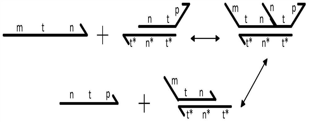 Molecular circuit design method based on four-input factorial addition operation based on DNA strand replacement