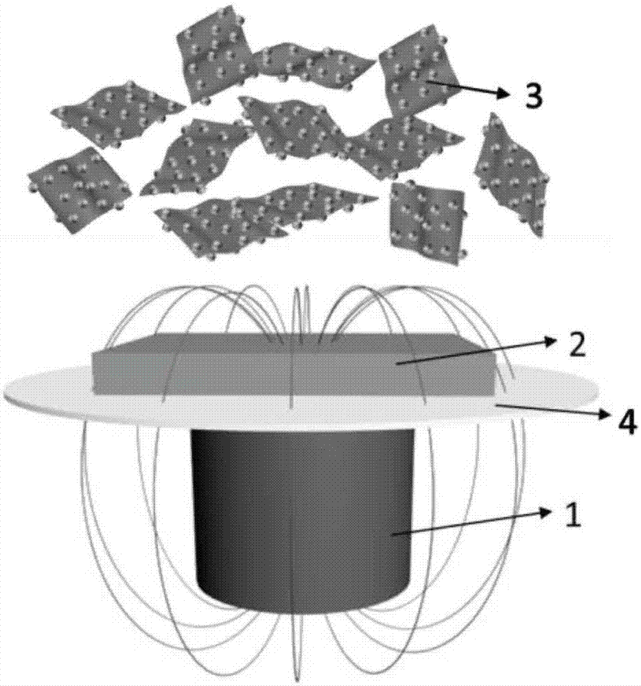 Flexible super capacitor electrode and preparation method thereof