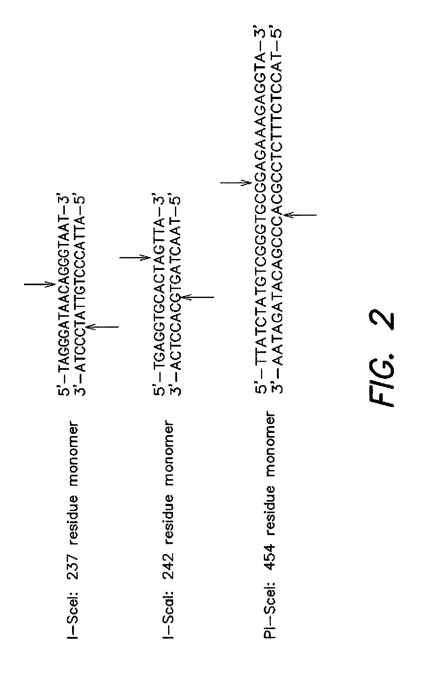 In vivo selection system for enzyme activity