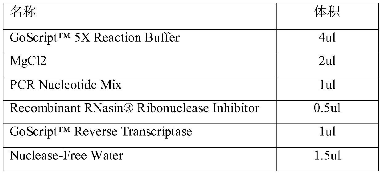 A tumor marker related to colorectal cancer and its application