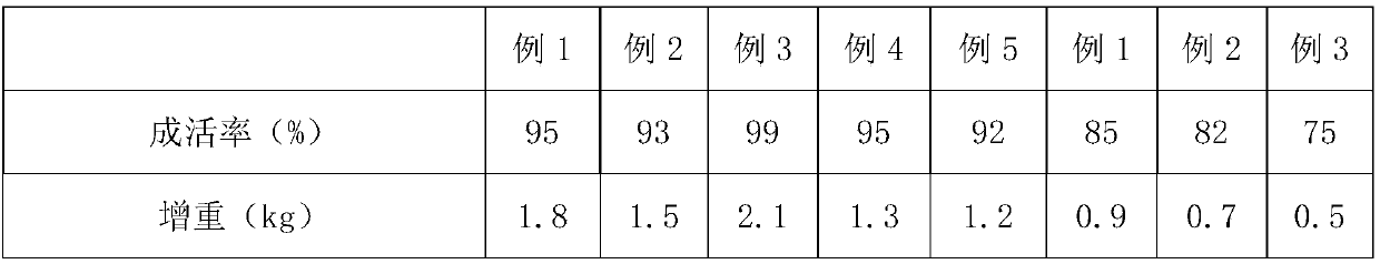 Fish fattening feed for agriculture and livestock breeding and preparation method thereof