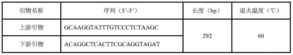 Molecule marking method for pig backfat thickness property