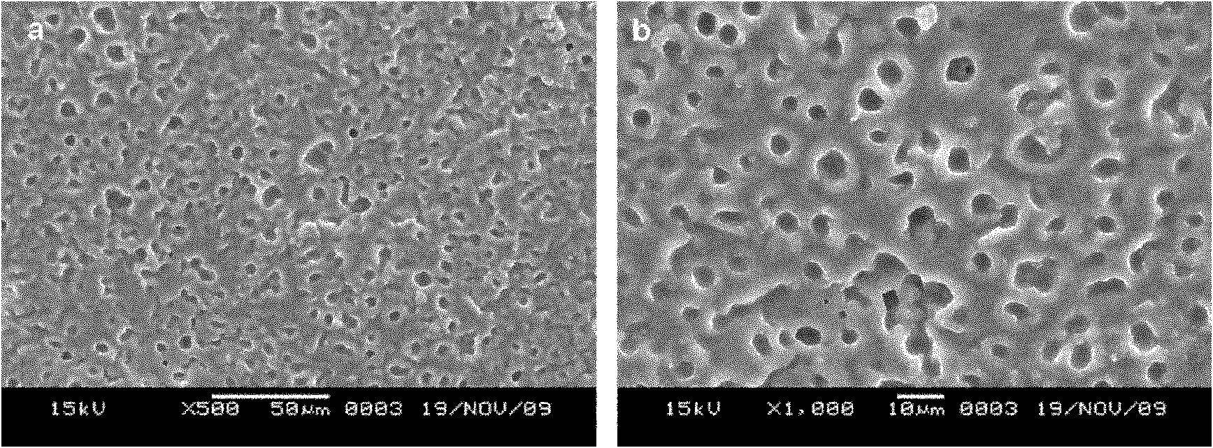 Preparation method of porous silicon hydrogel interpenetrating network (IPN) membrane