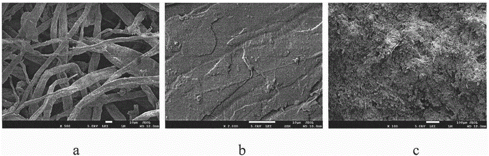 Preparation method of cellulose based 3D printing wire