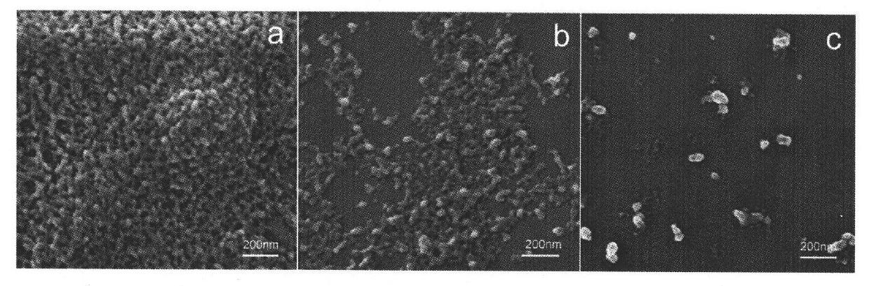 Novel method for preparation of chitosan nano carrier and functionalization thereof