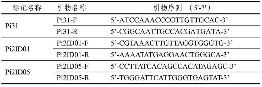 Recombined nucleic acid fragment reccr010311 and its detection primer and application