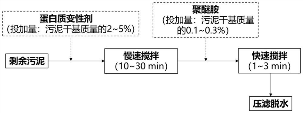 Sludge dehydration conditioning method based on protein denaturant