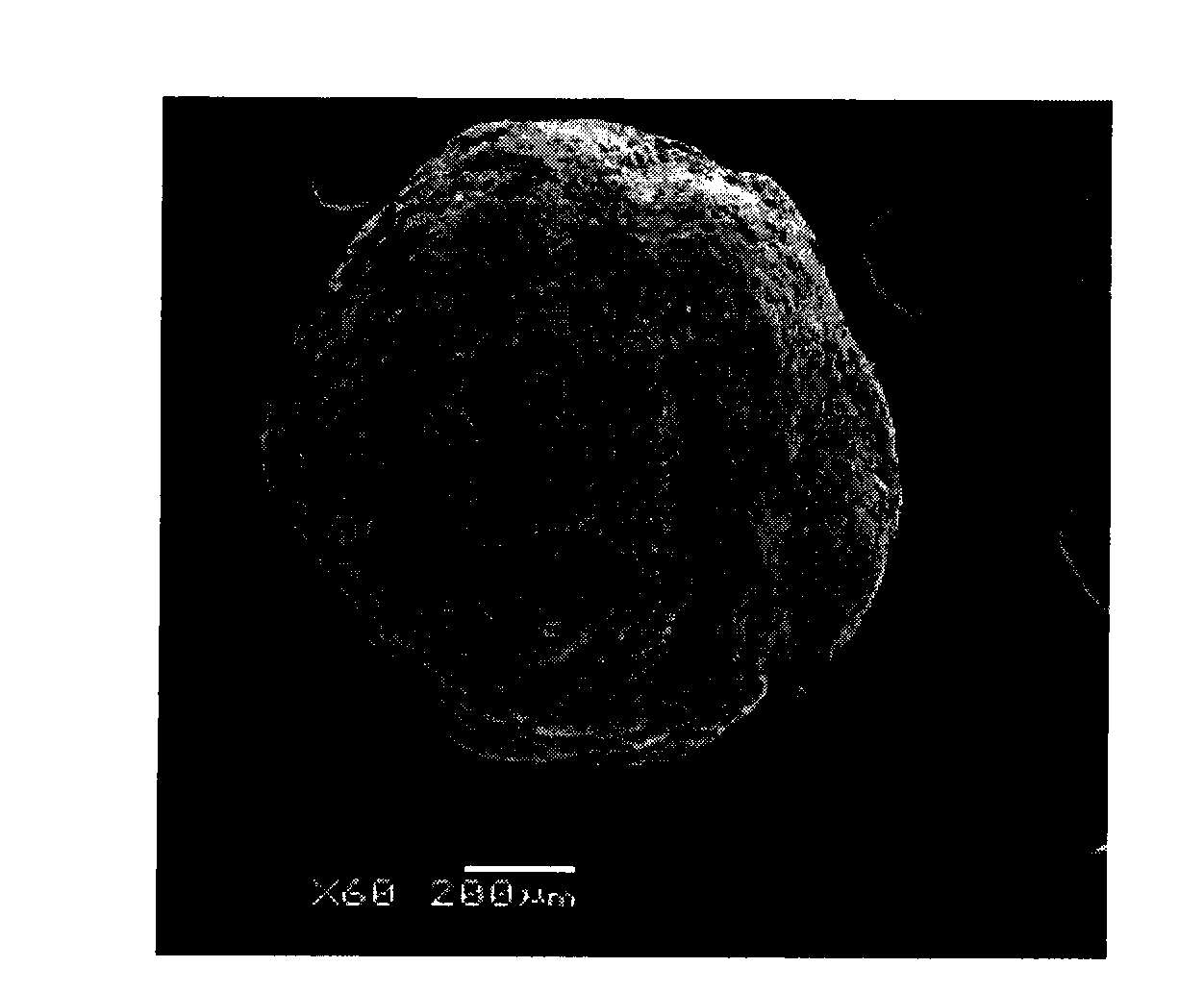 Intragastric floating slowly releasing micropill and preparation method thereof