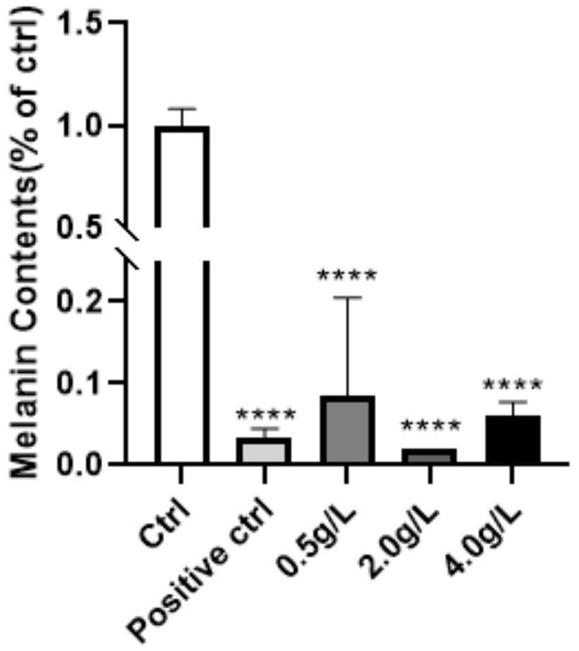 Red algae extract as well as preparation method and application thereof