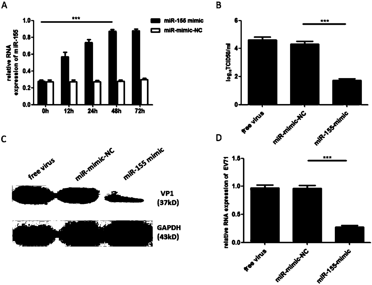 Application of hsa-miRNA-155-5p for preparing medicine for inhibiting human enterovirus 71