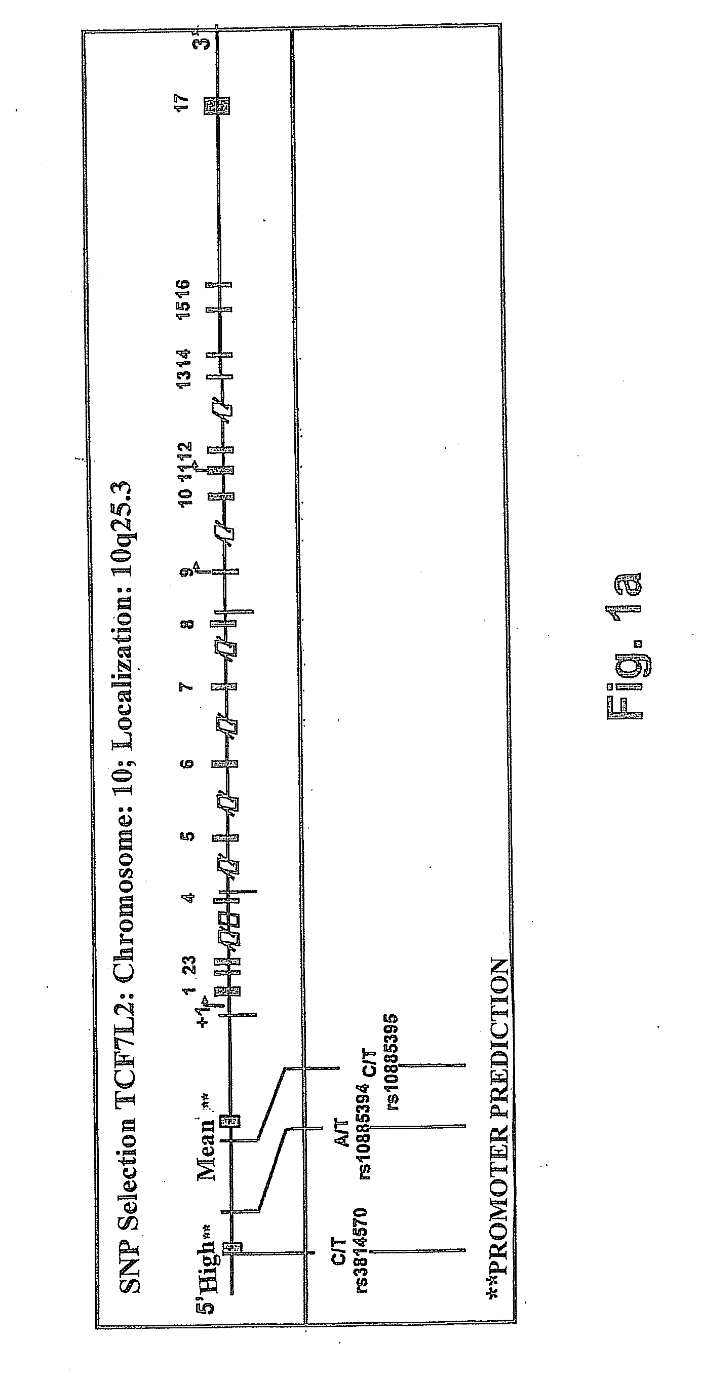 Method for determining the predisposition for crohn's disease