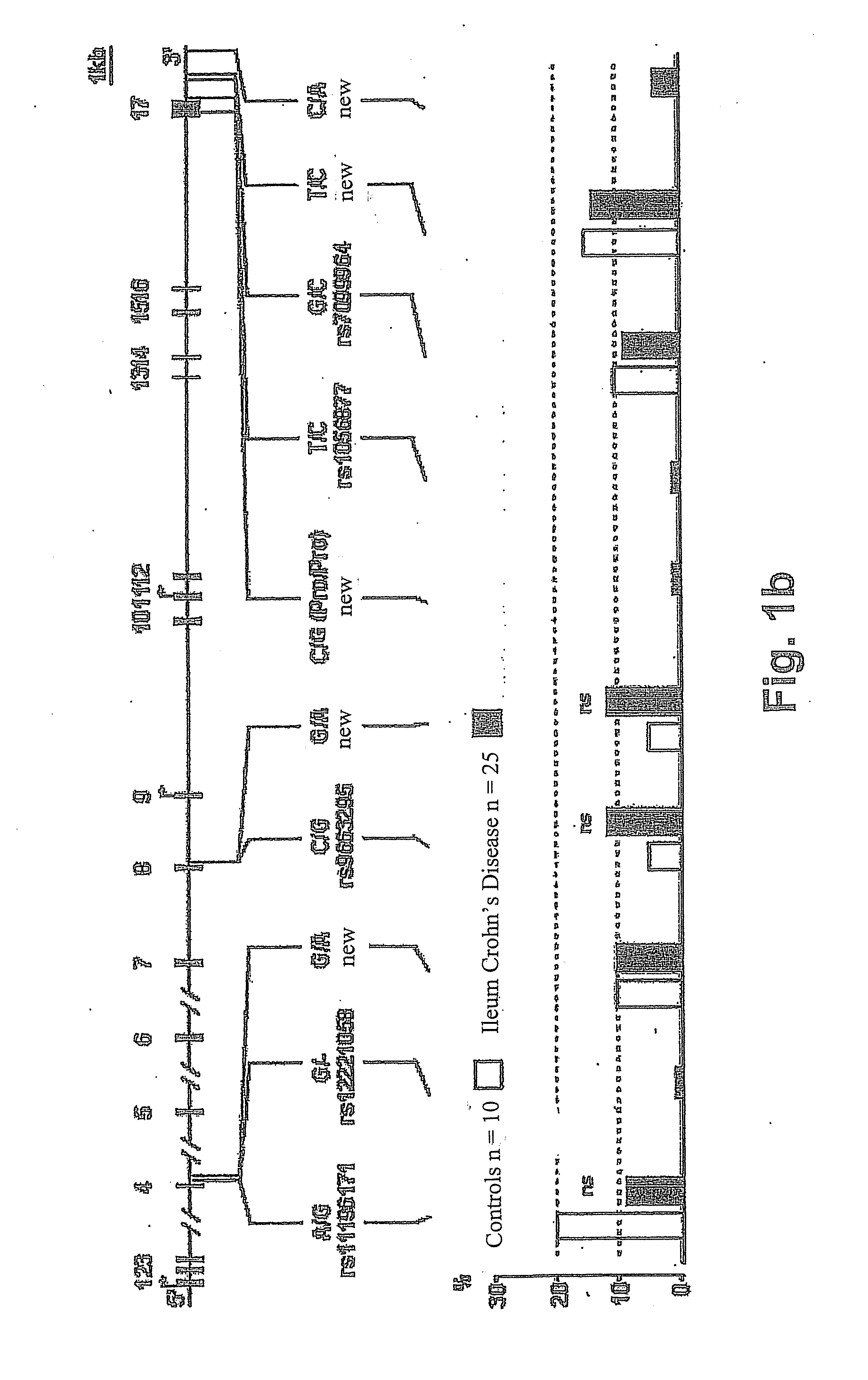 Method for determining the predisposition for crohn's disease