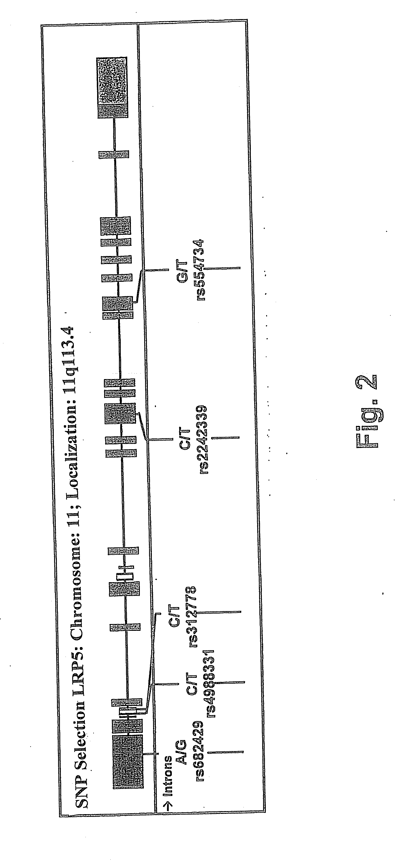 Method for determining the predisposition for crohn's disease