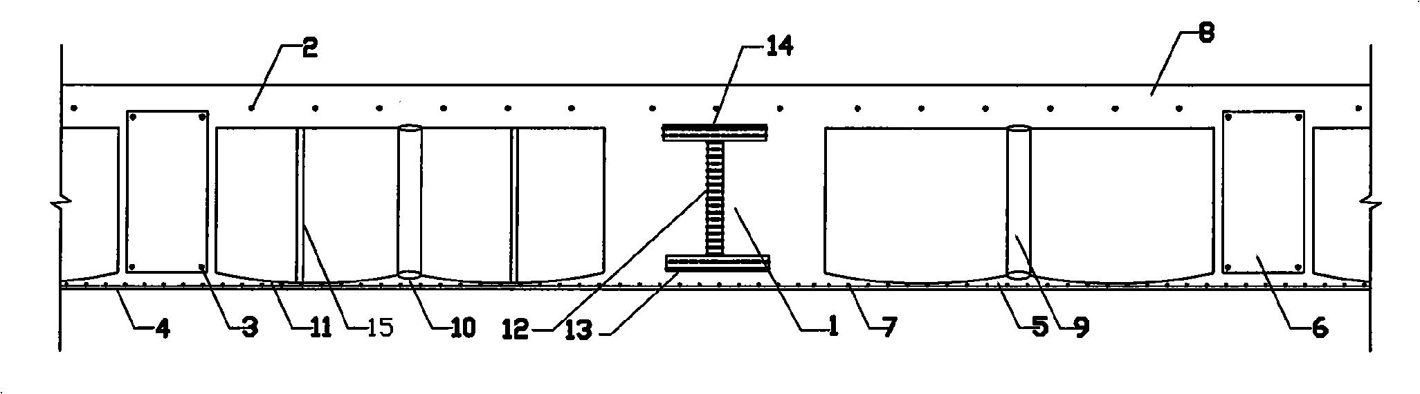 Cast-in-situ section steel concrete cavity building roof