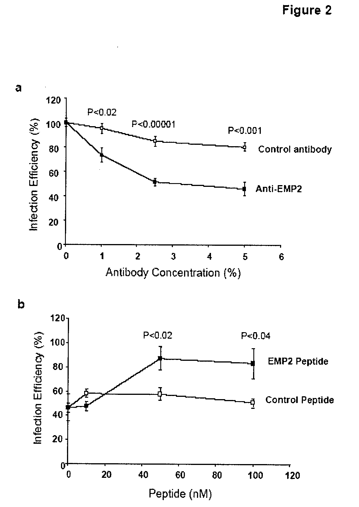 Prevention of chlamydia infection using a protective antibody