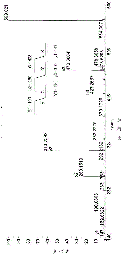 Application of novel cyclic peptide