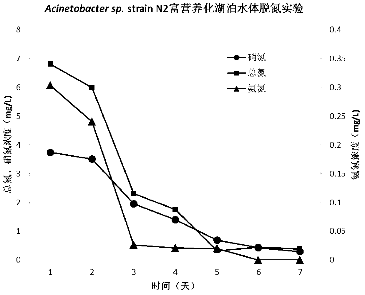 Aerobic denitrifying strain and its application