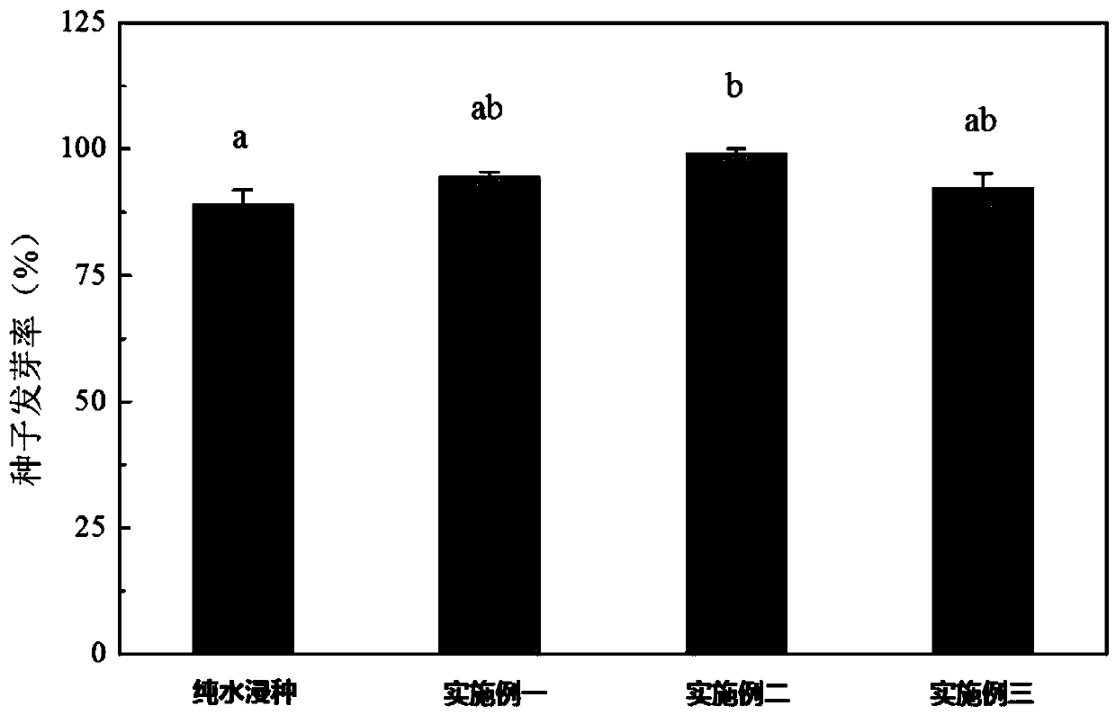 Method for improving germination and growth of corn seeds