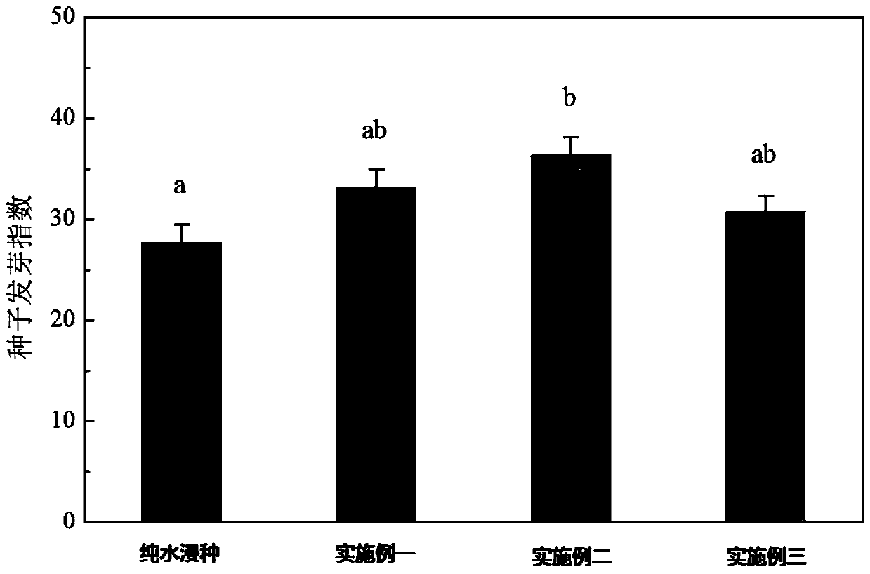 Method for improving germination and growth of corn seeds