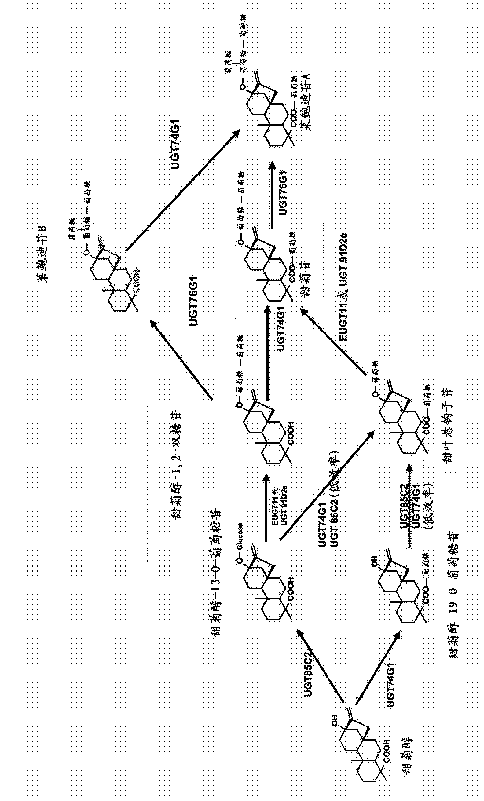 Recombinant production of steviol glycosides