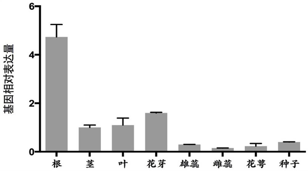 A tobacco slow anion channel protein ntslah1 and its application