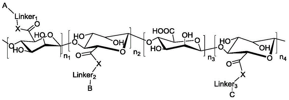 Vital staining contrast agent by using polyuronide as vector, as well as preparation method and application thereof