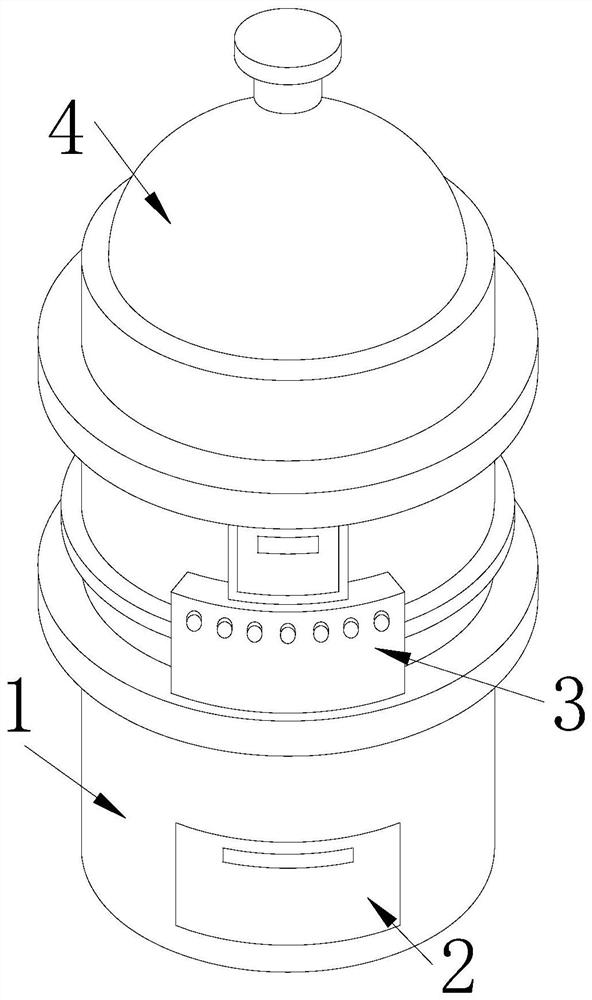 Boiler with temperature instrument