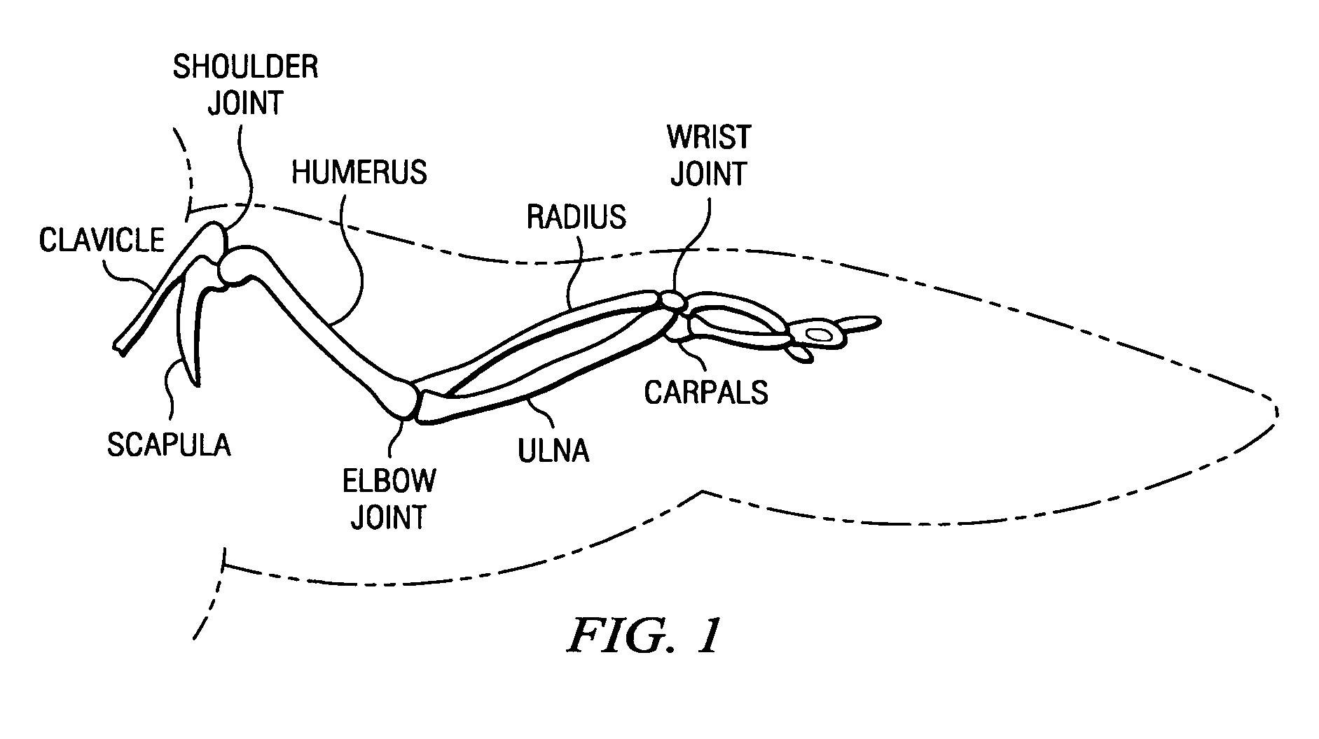 Wing structure for a waterfowl decoy