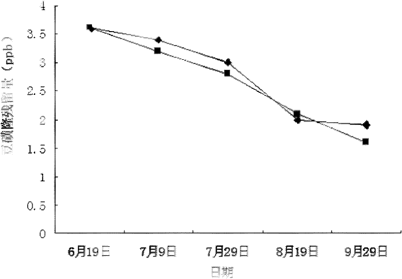 Method for degrading long residual herbicide chlorimuron-ethyl in bean field by adopting biological organic fertilizer