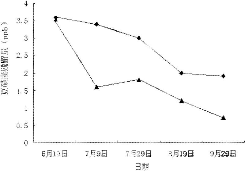 Method for degrading long residual herbicide chlorimuron-ethyl in bean field by adopting biological organic fertilizer